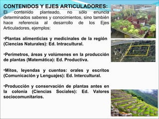 CONTENIDOS Y EJES ARTICULADORES:
El contenido planteado, no sólo enuncia
determinados saberes y conocimientos, sino también
hace referencia al desarrollo de los Ejes
Articuladores, ejemplos:
•Plantas alimenticias y medicinales de la región
(Ciencias Naturales): Ed. Intracultural.
•Perímetros, áreas y volúmenes en la producción
de plantas (Matemática): Ed. Productiva.
•Mitos, leyendas y cuentos: orales y escritos
(Comunicación y Lenguajes): Ed. Intercultural.
•Producción y conservación de plantas antes en
la colonia (Ciencias Sociales): Ed. Valores
sociocomunitarios.
 