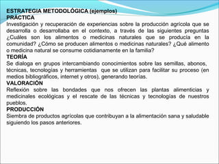 ESTRATEGIA METODOLÓGICA (ejemplos)
PRÁCTICA
Investigación y recuperación de experiencias sobre la producción agrícola que se
desarrolla o desarrollaba en el contexto, a través de las siguientes preguntas
¿Cuáles son los alimentos o medicinas naturales que se producía en la
comunidad? ¿Cómo se producen alimentos o medicinas naturales? ¿Qué alimento
o medicina natural se consume cotidianamente en la familia?
TEORÍA
Se dialoga en grupos intercambiando conocimientos sobre las semillas, abonos,
técnicas, tecnologías y herramientas que se utilizan para facilitar su proceso (en
medios bibliográficos, internet y otros), generando teorías.
VALORACIÓN
Reflexión sobre las bondades que nos ofrecen las plantas alimenticias y
medicinales ecológicas y el rescate de las técnicas y tecnologías de nuestros
pueblos.
PRODUCCIÓN
Siembra de productos agrícolas que contribuyan a la alimentación sana y saludable
siguiendo los pasos anteriores.
 