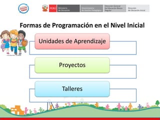 Formas de Programación en el Nivel Inicial
Unidades de Aprendizaje
Proyectos
Talleres
 