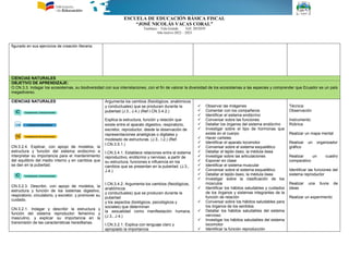 ESCUELA DE EDUCACIÓN BÁSICA FISCAL
“JOSÉ NICOLÁS VACAS CORAL”
Tumbaco – Tola Grande Telf. 2052039
Año lectivo 2022 – 2023
figurado en sus ejercicios de creación literaria.
CIENCIAS NATURALES
OBJETIVO DE APRENDIZAJE:
O.CN.3.3. Indagar los ecosistemas, su biodiversidad con sus interrelaciones, con el fin de valorar la diversidad de los ecosistemas a las especies y comprender que Ecuador es un país
megadiverso.
CIENCIAS NATURALES
CN.3.2.4. Explicar, con apoyo de modelos, la
estructura y función del sistema endocrino e
interpretar su importancia para el mantenimiento
del equilibrio del medio interno y en cambios que
se dan en la pubertad.
CN.3.2.3. Describir, con apoyo de modelos, la
estructura y función de los sistemas digestivo,
respiratorio, circulatorio, y excretor, y promover su
cuidado.
CN.3.2.1. Indagar y describir la estructura y
función del sistema reproductor femenino y
masculino, y explicar su importancia en la
transmisión de las características hereditarias.
Argumenta los cambios (fisiológicos, anatómicos
y conductuales) que se producen durante la
pubertad (J.3., J.4.) (Ref.I.CN.3.4.2.)
Explica la estructura, función y relación que
existe entre el aparato digestivo, respiratorio,
excretor, reproductor, desde la observación de
representaciones analógicas o digitales y
modelado de estructuras. (J.3., I.2.) (Ref.
I.CN.3.5.1.)
I.CN.3.4.1. Establece relaciones entre el sistema
reproductivo, endócrino y nervioso, a partir de
su estructura, funciones e influencia en los
cambios que se presentan en la pubertad. (J.3.,
J.4.)
I.CN.3.4.2. Argumenta los cambios (fisiológicos,
anatómicos
y conductuales) que se producen durante la
pubertad
y los aspectos (biológicos, psicológicos y
sociales) que determinan
la sexualidad como manifestación humana.
(J.3., J.4.)
I.CN.3.2.1. Explica con lenguaje claro y
apropiado la importancia
 Observar las imágenes
 Comentar con los compañeros
 Identificar el sistema endócrino
 Conversar sobre las funciones
 Detallar los órganos del sistema endócrino
 Investigar sobre el tipo de hormonas que
existe en el cuerpo
 Hacer carteles
 Identificar el aparato locomotor
 Conversar sobre el sistema esquelético
 Detallar el tejido óseo, la médula ósea
 Investigar sobre las articulaciones
 Exponer en clase
 Identificar el sistema muscular
 Conversar sobre el sistema esquelético
 Detallar el tejido óseo, la médula ósea
 Investigar sobre la clasificación de los
músculos
 Identificar los hábitos saludables y cuidados
de los órganos y sistemas integrantes de la
función de relación
 Conversar sobre los hábitos saludables para
los órganos de los sentidos
 Detallar los hábitos saludables del sistema
nervioso
 Investigar los hábitos saludables del sistema
locomotor
 Identificar la función reproducción
Técnica:
Observación
Instrumento:
Rúbrica
Realizar un mapa mental
Realizar un organizador
gráfico
Realizar un cuadro
comparativo
Identificar las funciones del
sistema reproductor
Realizar una lluvia de
ideas
Realizar un experimento
 