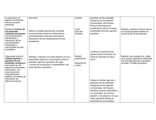 Planificación didáctica de septimo