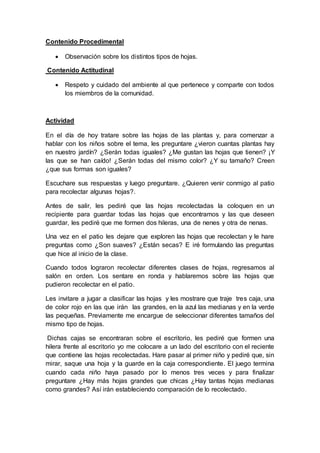 Contenido Procedimental
 Observación sobre los distintos tipos de hojas.
Contenido Actitudinal
 Respeto y cuidado del ambiente al que pertenece y comparte con todos
los miembros de la comunidad.
Actividad
En el día de hoy tratare sobre las hojas de las plantas y, para comenzar a
hablar con los niños sobre el tema, les preguntare ¿vieron cuantas plantas hay
en nuestro jardín? ¿Serán todas iguales? ¿Me gustan las hojas que tienen? ¡Y
las que se han caído! ¿Serán todas del mismo color? ¿Y su tamaño? Creen
¿que sus formas son iguales?
Escuchare sus respuestas y luego preguntare. ¿Quieren venir conmigo al patio
para recolectar algunas hojas?.
Antes de salir, les pediré que las hojas recolectadas la coloquen en un
recipiente para guardar todas las hojas que encontramos y las que deseen
guardar, les pediré que me formen dos hileras, una de nenes y otra de nenas.
Una vez en el patio les dejare que exploren las hojas que recolectan y le hare
preguntas como ¿Son suaves? ¿Están secas? E iré formulando las preguntas
que hice al inicio de la clase.
Cuando todos lograron recolectar diferentes clases de hojas, regresamos al
salón en orden. Los sentare en ronda y hablaremos sobre las hojas que
pudieron recolectar en el patio.
Les invitare a jugar a clasificar las hojas y les mostrare que traje tres caja, una
de color rojo en las que irán las grandes, en la azul las medianas y en la verde
las pequeñas. Previamente me encargue de seleccionar diferentes tamaños del
mismo tipo de hojas.
Dichas cajas se encontraran sobre el escritorio, les pediré que formen una
hilera frente al escritorio yo me colocare a un lado del escritorio con el reciente
que contiene las hojas recolectadas. Hare pasar al primer niño y pediré que, sin
mirar, saque una hoja y la guarde en la caja correspondiente. El juego termina
cuando cada niño haya pasado por lo menos tres veces y para finalizar
preguntare ¿Hay más hojas grandes que chicas ¿Hay tantas hojas medianas
como grandes? Así irán estableciendo comparación de lo recolectado.
 