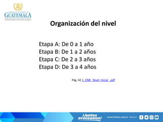 Organización del nivel
Etapa A: De 0 a 1 año
Etapa B: De 1 a 2 años
Etapa C: De 2 a 3 años
Etapa D: De 3 a 4 años
Pág. 42 1. CNB_ Nivel Inicial_.pdf
 