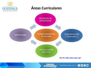 Áreas Curriculares
DESTREZAS DE
APRENDIZAJE
COMUNICACIÓN
Y LENGUAJE L1
CONOCIMIENTO DE
SU MUNDO
ESTIMULACIÓN
ARTISITCA
MOTRICIDAD
Pág. 44 1. CNB_ Nivel Inicial_.pdf
 