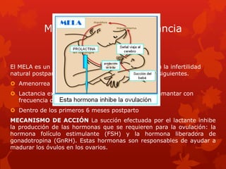 MELA, Método de Lactancia
El MELA es un método anticonceptivo que se basa en la infertilidad
natural postparto cuando se cumplan los 3 criterios siguientes.
 Amenorrea
 Lactancia exclusiva o casi exclusiva, requiere amamantar con
frecuencia durante el día y la noche.
 Dentro de los primeros 6 meses postparto
MECANISMO DE ACCIÓN La succión efectuada por el lactante inhibe
la producción de las hormonas que se requieren para la ovulación: la
hormona folículo estimulante (FSH) y la hormona liberadora de
gonadotropina (GnRH). Estas hormonas son responsables de ayudar a
madurar los óvulos en los ovarios.
 