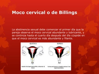 Moco cervical o de Billings
La abstinencia sexual debe comenzar el primer día que la
pareja observa el moco cervical abundante y lubricante, y
se continúa hasta el cuarto día después del día cúspide en
que el moco cervical es más abundante y filante.
 