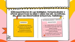 PLANIFICACIÓN PARA AULA inclusiva de nee | PDF