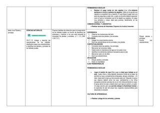 PERMANENCIA ESCOLAR
 Realizar el juego ponte en mis zapatos (Los niños deberán
sentarse en círculo y quitarse los zapatos. Cada uno le pondrá sus
zapatos al compañero de su derecha. El que dirige el juego hará una
serie de preguntas a cada niño, y cada uno de ellos deberá responder
como si fuera el compañero que le ha dejado sus zapatos. Un juego
muy simbólico y visual, ideal para ponerse, literalmente, en los
zapatos del otro)
COMUNICACIONAL Y LINGÚISTICA:
 Realizar lecturas de historietas. Exponer en el aula el resumen
seres vivos Plantas y
animales
CIENCIAS NATURALES
CN.2.1.10. Indagar y describir las
características de los hábitats,
clasificarlos según sus características,
e identificar las plantas y animales de
los hábitats locales.
Propone medidas de protección para la conservación
de los hábitats locales, en función de identificar las
amenazas y cambios a los que está expuesta la
diversidad de plantas y animales. (J.1., J.3.) (Ref.
I.CN.2.3.2.)
EXPERIENCIA
 Observar las ilustraciones del texto.
 Comentar sobre las plantas y los animales
REFLEXION
 Indagar los conocimientos previos.
 Decir las características de los animales y las plantas
CONTEXTUALIZACION
 Conversar sobre las plantas y los animales
 Mencionar las funciones vitales
 Hablar sobre la importancia del agua en los seres vivos
 Identificar los elementos abióticos necesarios para la vida
 Mencionar cada uno de ellos
 Decir sus características
APLICACION
 Dibujar plantas y animales
 Hacer un mentefacto
EJES TRANSVERSALES:
PERMANENCIA ESCOLAR
 Jugar al cambio de ropa (Este juego es ideal para trabajar en el
aula. Cuatro niños y niñas deberán ponerse al frente de la clase. Se
pondrán su ropa y complementos (chaquetas, abrigos, bufandas...). El
resto observará la ropa que lleva puesta cada uno. Después, el grupo
que observa deberá cerrar los ojos; cambiaremos a los niños
escogidos poniendo prendas de uno en otro (intercambiando la ropa).
El grupo abrirá los ojos y deberá decir qué ropa se cambió y a quién.
Un juego sencillo pero que permite trabajar la flexibilidad mental y
la capacidad de salir del propio foco, aspectos imprescindibles para
desarrollar la empatía
CULTURA DE APRENDIZAJE:
 Realizar collage de los animales y plantas
Dibujar plantas y
animales
Escribir sus
características
 