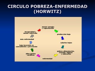 CIRCULO POBREZA-ENFERMEDAD (HORWITZ) 