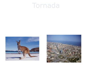 Tornada
Ja ha passat la setmana i l’avió ja està arreglat.
Tornem a Barcelona i ens preparem per treballar la
setmana que ve, després d’una setmana una mica
moguda.
 