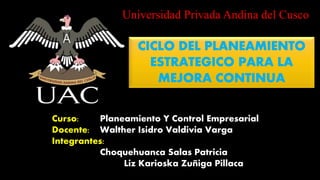 Curso: Planeamiento Y Control Empresarial
Docente: Walther Isidro Valdivia Varga
Integrantes:
Choquehuanca Salas Patricia
Liz Karioska Zuñiga Pillaca
Universidad Privada Andina del Cusco
 