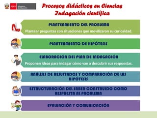 Procesos didácticos en Ciencias
Indagación científica
PLANTEAMIENTO DEL PROBLEMA
Plantear preguntas con situaciones que movilizaron su curiosidad.
PLANTEAMIENTO DE HIPÓTESIS
ELABORACIÓN DEL PLAN DE INDAGACIÓN
Proponen ideas para indagar cómo van a descubrir sus respuestas.
• ANÁLISIS DE DATOS O INFORMACIÓN
ANÁLISIS DE RESULTADOS Y COMPARACIÓN DE LAS
HIPÓTESIS
ESTRUCTURACIÓN DEL SABER CONSTRUIDO COMO
RESPUESTA AL PROBLEMA
EVALUACIÓN Y COMUNICACIÓN
 