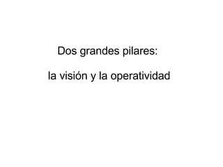 Dos grandes pilares:  la visión y la operatividad 