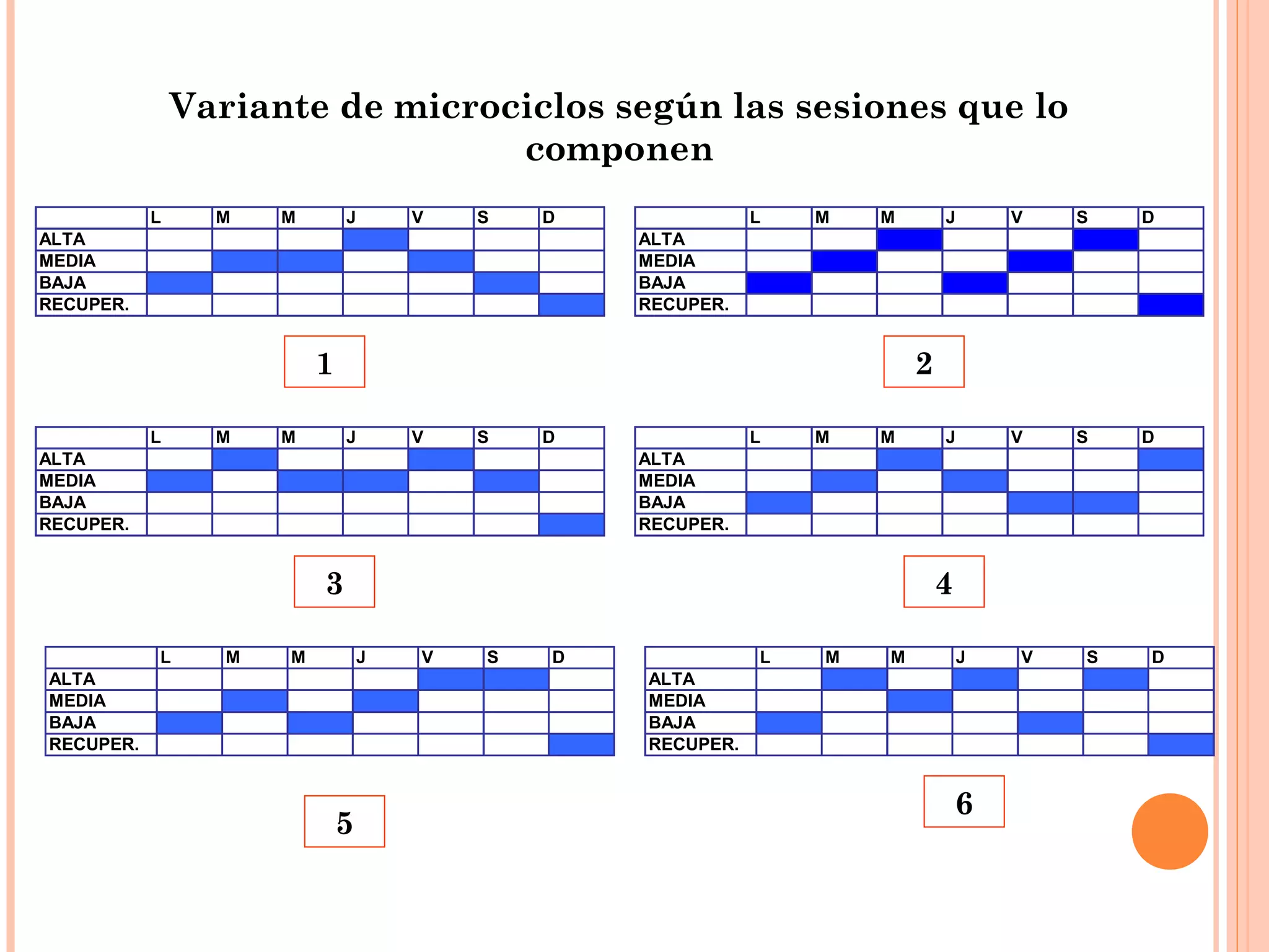 L M M J V S D
ALTA
MEDIA
BAJA
RECUPER.
L M M J V S D
ALTA
MEDIA
BAJA
RECUPER.
L M M J V S D
ALTA
MEDIA
BAJA
RECUPER.
L M M J V S D
ALTA
MEDIA
BAJA
RECUPER.
L M M J V S D
ALTA
MEDIA
BAJA
RECUPER.
L M M J V S D
ALTA
MEDIA
BAJA
RECUPER.
1 2
3 4
5
6
Variante de microciclos según las sesiones que lo
componen
 