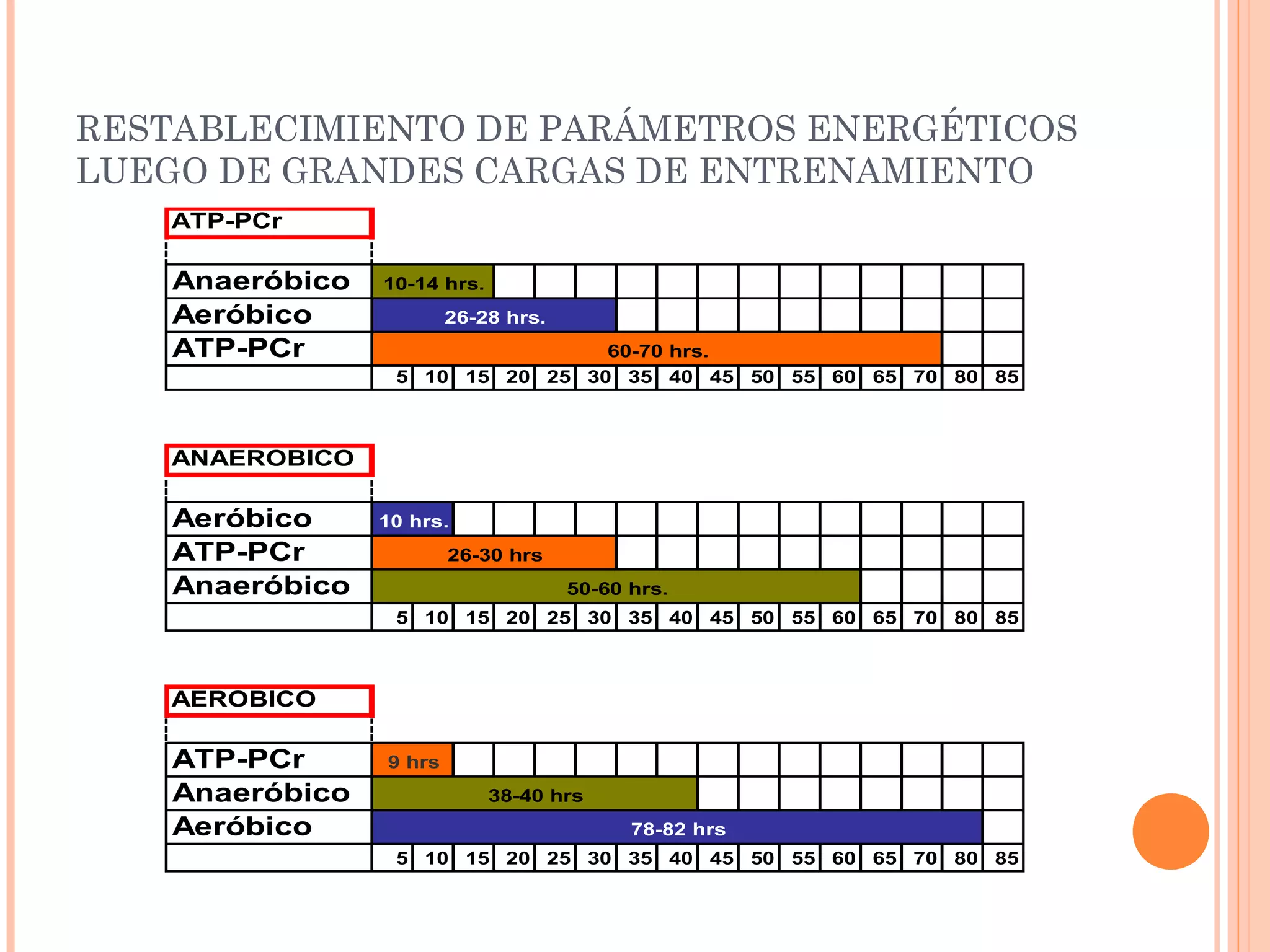 RESTABLECIMIENTO DE PARÁMETROS ENERGÉTICOS
LUEGO DE GRANDES CARGAS DE ENTRENAMIENTO
ATP-PCr
Anaeróbico
Aeróbico
ATP-PCr
5 10 15 20 25 30 35 40 45 50 55 60 65 70 80 85
ANAEROBICO
Aeróbico
ATP-PCr
Anaeróbico
5 10 15 20 25 30 35 40 45 50 55 60 65 70 80 85
AEROBICO
ATP-PCr
Anaeróbico
Aeróbico
5 10 15 20 25 30 35 40 45 50 55 60 65 70 80 85
10 hrs.
26-30 hrs
50-60 hrs.
9 hrs
26-28 hrs.
10-14 hrs.
60-70 hrs.
38-40 hrs
78-82 hrs
 