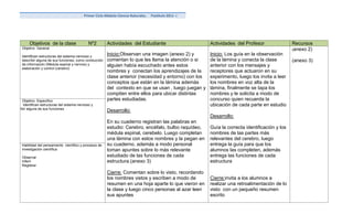 Primer Ciclo Módulo Ciencia Naturales.   Postítulo 2011 -I




           Objetivos de la clase                  Nº2        Actividades del Estudiante                     Actividades del Profesor                Recursos
      Objetivo General                                                                                                                              (anexo 2)
      Identifican estructuras del sistema nervioso y
                                                             Inicio:Observan una imagen (anexo 2) y         Inicio: Los guía en la observación
      describir alguna de sus funciones, como conducción     comentan lo que les llama la atención o si     de la lámina y conecta la clase         (anexo 3)
      de información (Médula espinal y nervios) y            alguien había escuchado antes estos            anterior con los mensajes y
      elaboración y control (cerebro)
                                                             nombres y conectan los aprendizajes de la      receptores que actuaron en su
                                                             clase anterior (necesidad y entorno) con los   experimento, luego los invita a leer
                                                             conceptos que están en la lámina además        los nombres en voz alta de la
                                                             del contexto en que se usan , luego juegan y   lámina, finalmente se tapa los
                                                             compiten entre ellos para ubicar distintas     nombres y le solicita a modo de
      Objetivo Especifico                                    partes estudiadas.                             concurso quien recuerda la
       Identifican estructuras del sistema nervioso y                                                       ubicación de cada parte en estudio
describir alguna de sus funciones
                                                             Desarrollo:
                                                                                                            Desarrollo:
                                                             En su cuaderno registran las palabras en
                                                             estudio: Cerebro, encéfalo, bulbo raquídeo,    Guía la correcta identificación y los
                                                             médula espinal, cerebelo. Luego completan      nombres de las partes más
                                                             una lámina con estos nombres y la pegan en     relevantes del cerebro, luego
      Habilidad del pensamiento científico y procesos de     su cuaderno, además a modo personal            entrega la guía para que los
      investigación científica                               toman apuntes sobre lo más relevante           alumnos las completen, además
      Observar                                               estudiado de las funciones de cada             entrega las funciones de cada
      Inferir                                                estructura.(anexo 3)                           estructura
      Registrar

                                                             Cierre: Comentan sobre lo visto, recordando
                                                             los nombres vistos y escriben a modo de        Cierre:invita a los alumnos a
                                                             resumen en una hoja aparte lo que vieron en    realizar una retroalimentación de lo
                                                             la clase y luego cinco personas al azar leen   visto con un pequeño resumen
                                                             sus apuntes                                    escrito
 