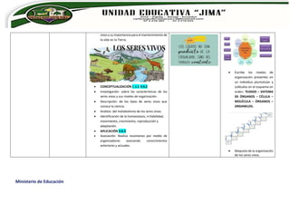 Ministerio de Educación
vivos y su importancia para el mantenimiento de
la vida en la Tierra.
 CONCEPTUALIZACIÓN I. 1.1 II.4.2
 Investigación: sobre las características de los
seres vivos y sus niveles de organización.
 Descripción: de los tipos de seres vivos que
conoce la ciencia.
 Análisis: del metabolismo de los seres vivos.
 Identificación de la homeostasis, irritabilidad,
movimiento, crecimiento, reproducción y
adaptación.
 APLICACIÓN II.6.3
 Asociación: Realiza resúmenes por medio de
organizadores asociando conocimientos
anteriores y actuales.
 Escribe los niveles de
organización presentes en
un individuo pluricelular y
colócalos en el esquema en
orden: TEJIDOS – SISTEMA
DE ÓRGANOS – CÉLULA –
MOLÉCULA – ÓRGANOS –
ORGANELOS.
 Maqueta de la organización
de los seres vivos.
 