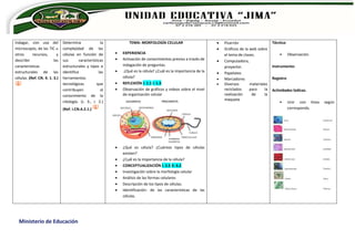 Ministerio de Educación
Indagar, con uso del
microscopio, de las TIC u
otros recursos, y
describir las
características
estructurales de las
células. (Ref. CN. 4. 1. 3.)
Determina la
complejidad de las
células en función de
sus características
estructurales y tipos e
identifica las
herramientas
tecnológicas que
contribuyen al
conocimiento de la
citología. (J. 3., I. 2.)
(Ref. I.CN.4.2.1.)
TEMA: MORFOLOGÍA CELULAR
 EXPERIENCIA
 Activación de conocimientos previos a través de
indagación de preguntas.
 ¿Qué es la célula? ¿Cuál es la importancia de la
célula?
 REFLEXIÓN I. 1.1 I. 1.3
 Observación de gráficos y videos sobre el nivel
de organización celular
 ¿Qué es célula? ¿Cuántos tipos de células
existen?
 ¿Cuál es la importancia de la célula?
 CONCEPTUALIZACIÓN I. 2.5 II. 4.2
 Investigación sobre la morfología celular
 Análisis de las formas celulares
 Descripción de los tipos de células.
 Identificación: de las características de las
células.
 Pizarrón
 Gráficos de la web sobre
el tema de clases.
 Computadora,
proyector.
 Papelotes
 Marcadores
 Diversos materiales
reciclados para la
realización de la
maqueta
Técnica:
• Observación.
Instrumento:
Registro
Actividades lúdicas.
• Unir con línea según
corresponda.
 