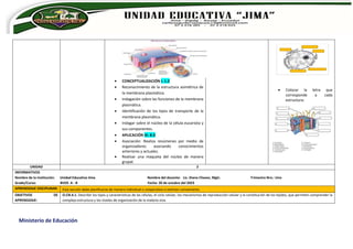 Ministerio de Educación
 CONCEPTUALIZACIÓN I. 1.2
 Reconocimiento de la estructura asimétrica de
la membrana plasmática.
 Indagación sobre las funciones de la membrana
plasmática.
 Identificación de los tipos de transporte de la
membrana plasmática.
 Indagar sobre el núcleo de la célula eucariota y
sus componentes.
 APLICACIÓN III. 8.3
 Asociación: Realiza resúmenes por medio de
organizadores asociando conocimientos
anteriores y actuales.
 Realizar una maqueta del núcleo de manera
grupal.
 Colocar la letra que
corresponde a cada
estructura:
UNIDAD 2
INFORMATIVOS
Nombre de la Institución: Unidad Educativa Jima Nombre del docente: Lic. Diana Chavez, Mgtr. Trimestre Nro.: Uno
Grado/Curso: 8VOS A - B Fecha: 20 de octubre del 2023
APRENDIZAJE DISCIPLINAR: Esta sección debe planificarse de manera individual o cooperativa si estiman conveniente.
OBJETIVOS DE
APRENDIZAJE:
O.CN.4.1. Describir los tipos y características de las células, el ciclo celular, los mecanismos de reproducción celular y la constitución de los tejidos, que permiten comprender la
compleja estructura y los niveles de organización de la materia viva.
 