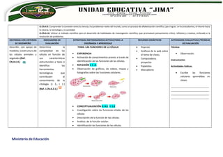 Ministerio de Educación
O.CN.4.9. Comprender la conexión entre la ciencia y los problemas reales del mundo, como un proceso de alfabetización científica, para lograr, en los estudiantes, el interés hacia
la ciencia, la tecnología y la sociedad.
O.CN.4.10. Utilizar el método científico para el desarrollo de habilidades de investigación científica, que promuevan pensamiento crítico, reflexivo y creativo, enfocado a la
resolución de problemas.
DESTREZAS CON CRITERIOS
DE DESEMPEÑO
INDICADORES DE
EVALUACIÓN
ESTRATEGIAS METODOLÓGICAS ACTIVAS PARA LA
ENSEÑANZA Y APRENDIZAJE
RECURSOS DIDÁCTICOS ACTIVIDADES EVALUATIVAS /TÉCNICAS
DE EVALUACIÓN
Describir, con apoyo de
modelos, la estructura de
las células animales y
vegetales.(Ref.
CN.4.1.4.)
Determina la
complejidad de las
células en función de
sus características
estructurales y tipos e
identifica las
herramientas
tecnológicas que
contribuyen al
conocimiento de la
citología. (J. 3., I. 2.)
(Ref. I.CN.4.2.1.)
TEMA: LAS FUNCIONES DE LA CÉLULA
 EXPERIENCIA
 Activación de conocimientos previos a través de
identificación de las funciones de las células.
 REFLEXIÓN I. 1 .3.
 Observación de gráficos, de videos, mapas y
fotografías sobre las funciones celulares.
 CONCEPTUALIZACIÓN II. 4.2. I. 1.2
 Investigación sobre las funciones vitales de las
células
 Descripción de la función de las células.
 Análisis: de la función celular.
 Identificación las funciones de las células.
 Pizarrón
 Gráficos de la web sobre
el tema de clases.
 Computadora,
proyector.
 Papelotes
 Marcadores
Técnica:
 Observación.
Instrumento:
Actividades lúdicas.
 Escribe las funciones
celulares aprendidas en
clases.
_____________________________
_____________________________
_____________________________
_____________________________
 