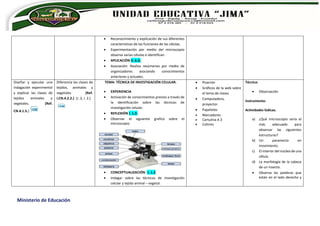Ministerio de Educación
 Reconocimiento y explicación de sus diferentes
características de las funciones de las células.
 Experimentación por medio del microscopio
observa varias células e identifican.
 APLICACIÓN II. 6.3.
 Asociación: Realiza resúmenes por medio de
organizadores asociando conocimientos
anteriores y actuales.
Diseñar y ejecutar una
indagación experimental
y explicar las clases de
tejidos animales y
vegetales. (Ref.
CN.4.1.5.)
Diferencia las clases de
tejidos, animales y
vegetales (Ref.
I.CN.4.2.2.) (J .3, I. 2.)
TEMA: TÉCNICA DE INVESTIGACIÓN CELULAR.
 EXPERIENCIA
 Activación de conocimientos previos a través de
la identificación sobre las técnicas de
investigación celular.
 REFLEXIÓN I. 1.3.
 Observar el siguiente grafico sobre el
microscopio
 CONCEPTUALIZACIÓN I. 1.2
 Indagar sobre las técnicas de investigación
celular y tejido animal – vegetal.
 Pizarrón
 Gráficos de la web sobre
el tema de clases.
 Computadora,
proyector.
 Papelotes
 Marcadores
 Cartulina A 3
 Colores
Técnica:
 Observación
Instrumento:
Actividades lúdicas.
a) ¿Qué microscopio sería el
más adecuado para
observar las siguientes
estructuras?
b) Un paramecio en
movimiento.
c) El interior del núcleo de una
célula.
d) La morfología de la cabeza
de un insecto.
 Observa las palabras que
están en el lado derecho y
 
