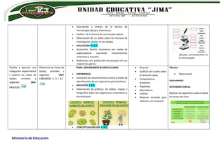 Ministerio de Educación
 Descripción y análisis de la técnica de
microscopía óptica y electrónica.
 Análisis: de la técnica de microscopía óptica
 Observación de un video sobre las técnicas de
investigación celular en los tejidos.
 APLICACIÓN II. 6.3.
 Asociación: Realiza resúmenes por medio de
organizadores asociando conocimientos
anteriores y actuales.
 Realizamos una grafico del microscopio con sus
respectivas partes.
ubícalas correctamente en
el microscopio.
Diseñar y ejecutar una
indagación experimental
y explicar las clases de
tejidos animales y
vegetales. (Ref.
CN.4.1.5.)
Diferencia las clases de
tejidos, animales y
vegetales (Ref.
I.CN.4.2.2.) (J .3, I. 2.)
TEMA: ORGANISMOS PLURICELULARES
 EXPERIENCIA
 Activación de conocimientos previos a través de
identificación de los organismos pluricelulares.
 REFLEXIÓN I. 2.5.
 Observación de gráficos, de videos, mapas y
fotografías sobre los organismos unicelulares y
pluricelulares.
 CONCEPTUALIZACIÓN II. 4.2.
 Pizarrón
 Gráficos de la web sobre
el tema de clases.
 Computadora,
proyector.
 Papelotes
 Marcadores
 Colores
 Material reciclado para
elaborar una maqueta
Técnica:
 Observación
Instrumento:
Actividades lúdicas.
Replicar los siguientes cuadros sobre
los temas de clase
 