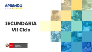 SECUNDARIA
VII Ciclo
 