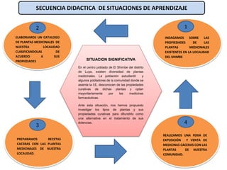 SITUACION SIGNIFICATIVA
En el centro poblado de El Shimbe del distrito
de Luya, existen diversidad de plantas
medicinales. La población estudiantil y
algunos pobladores de la comunidad donde se
asienta la I.E, desconocen de las propiedades
curativas de dichas plantas y optan
mayoritariamente por las medicinas
farmacéuticas.
Ante esta situación, nos hemos propuesto
investigar los tipos de plantas y sus
propiedades curativas para difundirlo como
una alternativa en el tratamiento de sus
dolencias.
INDAGAMOS SOBRE LAS
PROPIEDADES DE LAS
PLANTAS MEDICINALES
EXISTENTES EN LA LOCALIDAD
DEL SHIMBE
PREPARAMOS RECETAS
CACERAS CON LAS PLANTAS
MEDICINALES DE NUESTRA
LOCALIDAD.
REALIZAMOS UNA FERIA DE
EXPOSICIÓN Y VENTA DE
MEDICINAS CACERAS CON LAS
PLANTAS DE NUESTRA
COMUNIDAD.
ELABORAMOS UN CATALOGO
DE PLANTAS MEDICINALES DE
NUESTRA LOCALIDAD
CLASIFICANDOLAS DE
ACUERDO A SUS
PROPIEDADES
12
3
4
SECUENCIA DIDACTICA DE SITUACIONES DE APRENDIZAJE
 
