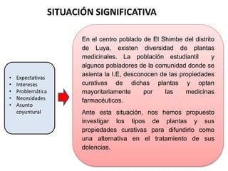 SITUACIÓN SIGNIFICATIVA
En el centro poblado de El Shimbe del distrito
de Luya, existen diversidad de plantas
medicinales. La población estudiantil y
algunos pobladores de la comunidad donde se
asienta la I.E, desconocen de las propiedades
curativas de dichas plantas y optan
mayoritariamente por las medicinas
farmacéuticas.
Ante esta situación, nos hemos propuesto
investigar los tipos de plantas y sus
propiedades curativas para difundirlo como
una alternativa en el tratamiento de sus
dolencias.
• Expectativas
• Intereses
• Problemática
• Necesidades
• Asunto
coyuntural
 