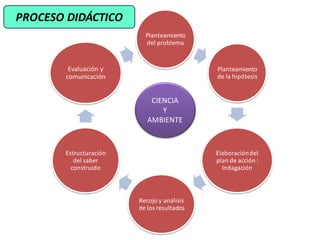 Planteamiento
del problema
Planteamiento
de la hipótesis
Elaboracióndel
plan de acción :
Indagación
Recojo y análisis
de los resultados
Estructuración
del saber
construido
Evaluación y
comunicación
CIENCIA
Y
AMBIENTE
PROCESO DIDÁCTICO
 