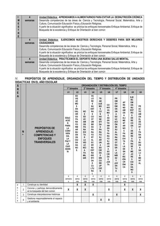 PLANIFICACION CURRICULAR ANUAL SEGUNDO GRADO DE PRIMARIA | PDF