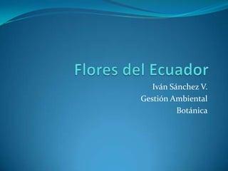 Flores del Ecuador Iván Sánchez V. Gestión Ambiental Botánica 