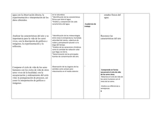 Planificacion de refuerzo