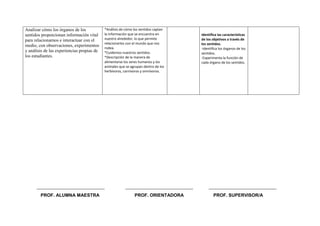 Planificacion de refuerzo