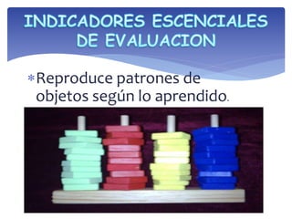 Reproduce patrones de 
objetos según lo aprendido. 
 