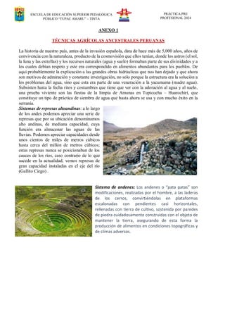 ESCUELA DE EDUCACIÓN SUPERIOR PEDAGÓGICA
PÚBLICO “TUPAC AMARU” – TINTA
PRÁCTICA PRE
PROFESIONAL 2024
ANEXO 1
TÉCNICAS AGRÍCOLAS ANCESTRALES PERUANAS
La historia de nuestro país, antes de la invasión española, data de hace más de 5,000 años, años de
convivencia con la naturaleza, producto de la cosmovisión que ellos tenían, donde los astros (el sol,
la luna y las estrellas) y los recursos naturales (agua y suelo) formaban parte de sus divinidades y a
los cuales debían respeto y este era correspondido en alimentos abundantes para los pueblos. De
aquí probablemente la explicación a las grandes obras hidráulicas que nos han dejado y que ahora
son motivos de admiración y constante investigación, no solo porque la estructura era la solución a
los problemas del agua, sino que esta era parte de una veneración a la yacumama (madre agua).
Subsisten hasta la fecha ritos y costumbres que tiene que ver con la adoración al agua y al suelo,
una prueba viviente son las fiestas de la limpia de Amunas en Tupicocha – Huarochirí, que
constituye un tipo de práctica de siembra de agua que hasta ahora se usa y con mucho éxito en la
serranía.
Sistemas de represas altoandinas: a lo largo
de los andes podemos apreciar una serie de
represas que por su ubicación denominamos
alto andinas, de mediana capacidad, cuya
función era almacenar las aguas de las
lluvias. Podemos apreciar capacidades desde
unos cientos de miles de metros cúbicos
hasta cerca del millón de metros cúbicos;
estas represas nunca se posicionaban de los
cauces de los ríos, caso contrario de lo que
sucede en la actualidad, vemos represas de
gran capacidad instaladas en el eje del río
(Gallito Ciego) .
Sistema de andenes: Los andenes o “pata patas” son
modificaciones, realizadas por el hombre, a las laderas
de los cerros, convirtiéndolas en plataformas
escalonadas con pendientes casi horizontales,
rellenadas con tierra de cultivo, sostenida por paredes
de piedra cuidadosamente construidas con el objeto de
mantener la tierra, asegurando de esta forma la
producción de alimentos en condiciones topográficas y
de climas adversos.
 