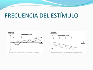 FRECUENCIA DEL ESTÍMULO
 