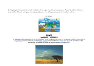 Son los principales frenos del crecimiento de la población. Varían según el ecosistema de cada ser vivo. Por ejemplo el factor biolimitante
fundamental en el desierto es el agua, mientras que para los seres vivos de las zonas profundas del mar el freno es la luz.




                                                                 QUINTO
                                                            SABANAS YBOSQUES
         La sabana es una llanura ubicada en climas tropicales en la cual la vegetación se encuentra formando un estrato herbáceo continuo
            porgramíneas perennes, salpicada por algún árbol, arbusto o matorral individual o en pequeños grupos de talla inferior a 10 m.
                                   Normalmente, las sabanas son zonas de transición entre bosques y estepas.
 