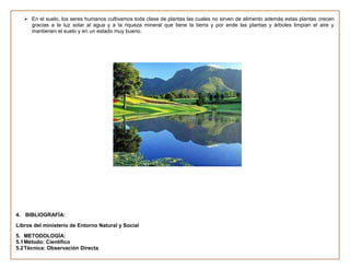  En el suelo, los seres humanos cultivamos toda clase de plantas las cuales no sirven de alimento además estas plantas crecen
     gracias a la luz solar al agua y a la riqueza mineral que tiene la tierra y por ende las plantas y árboles limpian el aire y
     mantienen el suelo y en un estado muy bueno.




4. BIBLIOGRAFÍA:
Libros del ministerio de Entorno Natural y Social
5. METODOLOGÍA:
5.1 Método: Científico
5.2 Técnica: Observación Directa
 