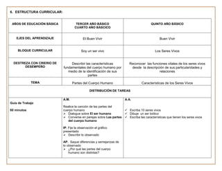 6. ESTRUCTURA CURRICULAR:


 AÑOS DE EDUCACIÓN BÁSICA            TERCER AÑO BÁSICO                                 QUINTO AÑO BÁSICO
                                    CUARTO AÑO BÁSCICO


    EJES DEL APRENDIZAJE                   El Buen Vivir                                      Buen Vivir


    BLOQUE CURRICULAR                    Soy un ser vivo                                  Los Seres Vivos


  DESTREZA CON CRIERIO DE        Describir las características          Reconocer las funciones vitales de los seres vivos
        DESEMPEÑO           fundamentales del cuerpo humano por          desde la descripción de sus particularidades y
                               medio de la identificación de sus                           relaciones
                                             partes

             TEMA                  Partes del Cuerpo Humano                      Características de los Seres Vivos

                                                DISTRIBUCIÓN DE TAREAS

                            A.M.                                     A.A.
Guía de Trabajo
                            Realice la canción de las partes del
60 minutos                  cuerpo humano                             Escriba 10 seres vivos
                             Dialogue sobre El ser humano            Dibuje un ser biótico
                             Converse en parejas sobre Las partes    Escriba las características que tienen los seres vivos
                               del cuerpo humano

                            IP. Fije la observación el gráfico
                            presentado
                             Describir lo observado

                            AP. Saque diferencias y semejanzas de
                            lo observado
                             ¿Por qué las partes del cuerpo
                                humano son distintas?
 