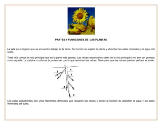 Planificaciones  del primer trimestre