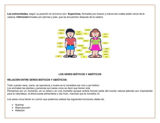 Planificaciones  de refuerzo