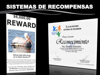 SISTEMAS DE RECOMPENSAS
 