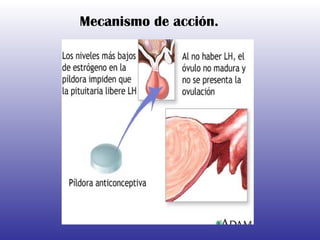 Mecanismo de acción. 