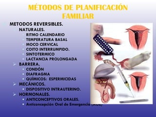 MÉTODOS DE PLANIFICACIÓN FAMILIAR METODOS REVERSIBLES. NATURALES. RITMO CALENDARIO TEMPERATURA BASAL MOCO CERVICAL COITO INTERRUMPIDO. SINTOTERMICO LACTANCIA PROLONGADA BARRERA. CONDÓN DIAFRAGMA QUÍMICOS:  ESPERMICIDAS MECÁNICOS. DISPOSITIVO INTRAUTERINO. HORMONALES. ANTICONCEPTIVOS ORALES. Anticoncepción Oral de Emergencia (AOE)  