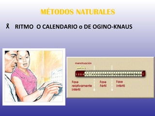 MÉTODOS NATURALES RITMO  O CALENDARIO o DE OGINO-KNAUS   