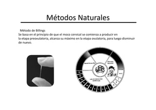 Métodos Naturales
 Método de Billings
Se basa en el principio de que el moco cervical se comienza a producir en
la etapa preovulatoria, alcanza su máximo en la etapa ovulatoria, para luego disminuir
de nuevo.
 