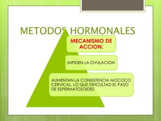 METODOS HORMONALES
            MECANISMO DE
              ACCION:

          IMPIDEN LA OVULACION



    AUMENTAN LA CONSISTENCIA MOCOCO
    CERVICAL, LO QUE DIFICULTAD EL PASO
    DE ESPERMATOZOIDES
 