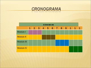 SEMANAS 1 2 3 4 5 6 7 8 9 10 11 12 Modulo I Modulo II Modulo III Modulo IV 