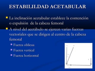 EESSTTAABBIILLIILLDDAADD AACCEETTAABBUULLAARR 
 LLaa iinncclliinnaacciióónn aacceettaabbuullaarr eessttaabblleeccee llaa ccoonntteenncciióónn 
oo eexxppuullssiióónn ddee llaa ccaabbeezzaa ffeemmoorraall 
 AA nniivveell ddeell aacceettáábbuulloo ssee eejjeerrcceenn vvaarriiaass ffuueerrzzaass 
vveeccttoorriiaalleess qquuee ssee ddiirriiggeenn aall cceennttrroo ddee llaa ccaabbeezzaa 
ffeemmoorraall 
 FFuueerrzzaa oobblliiccuuaa 
 FFuueerrzzaa vveerrttiiccaall 
 FFuueerrzzaa hhoorriizzoonnttaall 
 